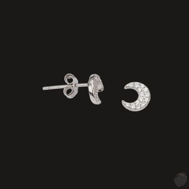 Wide Collection of Sterling Silver Stud Earrings: Whispers of Elegance